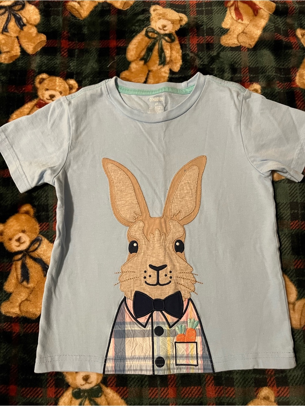 Gymboree Light Blue Bunny Applique Tee